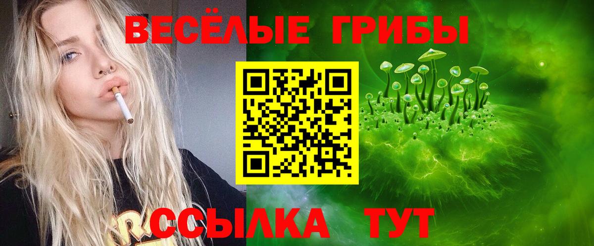 Краснознаменск  Галлюциногенные грибы Psilocybe  Галлюциногенные грибы мухоморы  Вход с VPN 