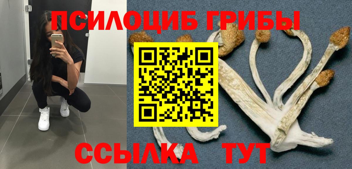 Псилоцибиновые грибы Psilocybine cubensis Краснознаменск
